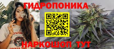 сатива Братск