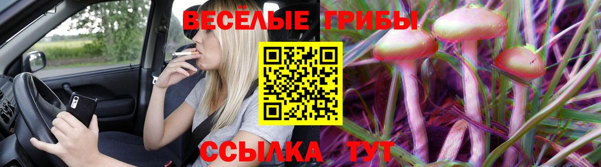 Новодвинск  Псилоцибиновые грибы ЛСД  Вход с VPN 